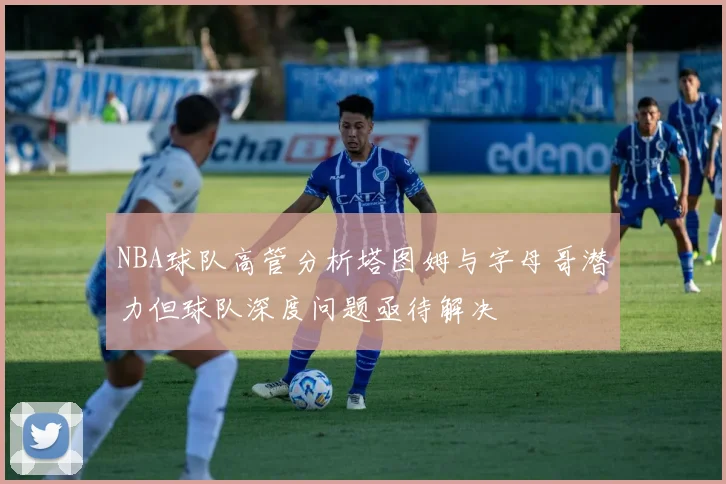 NBA球队高管分析塔图姆与字母哥潜力但球队深度问题亟待解决