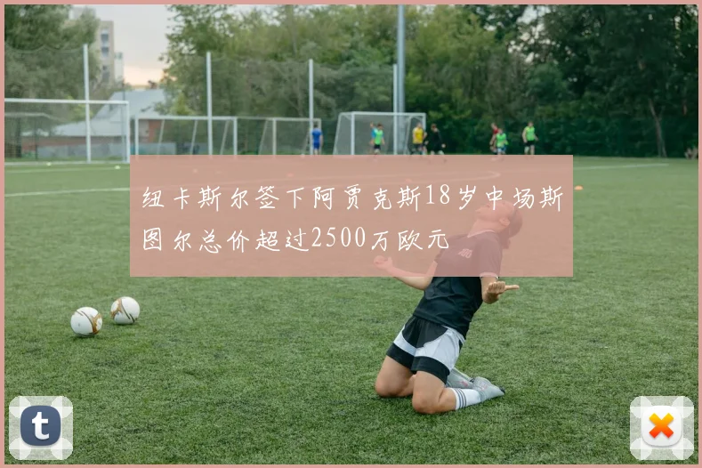 纽卡斯尔签下阿贾克斯18岁中场斯图尔总价超过2500万欧元